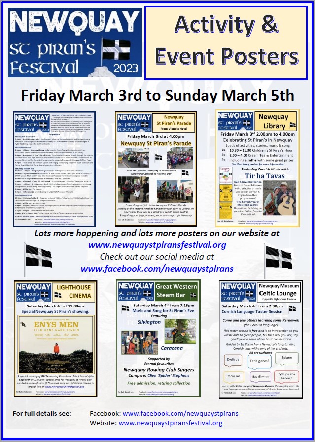 Newquay St Pirans Poster - Poster
